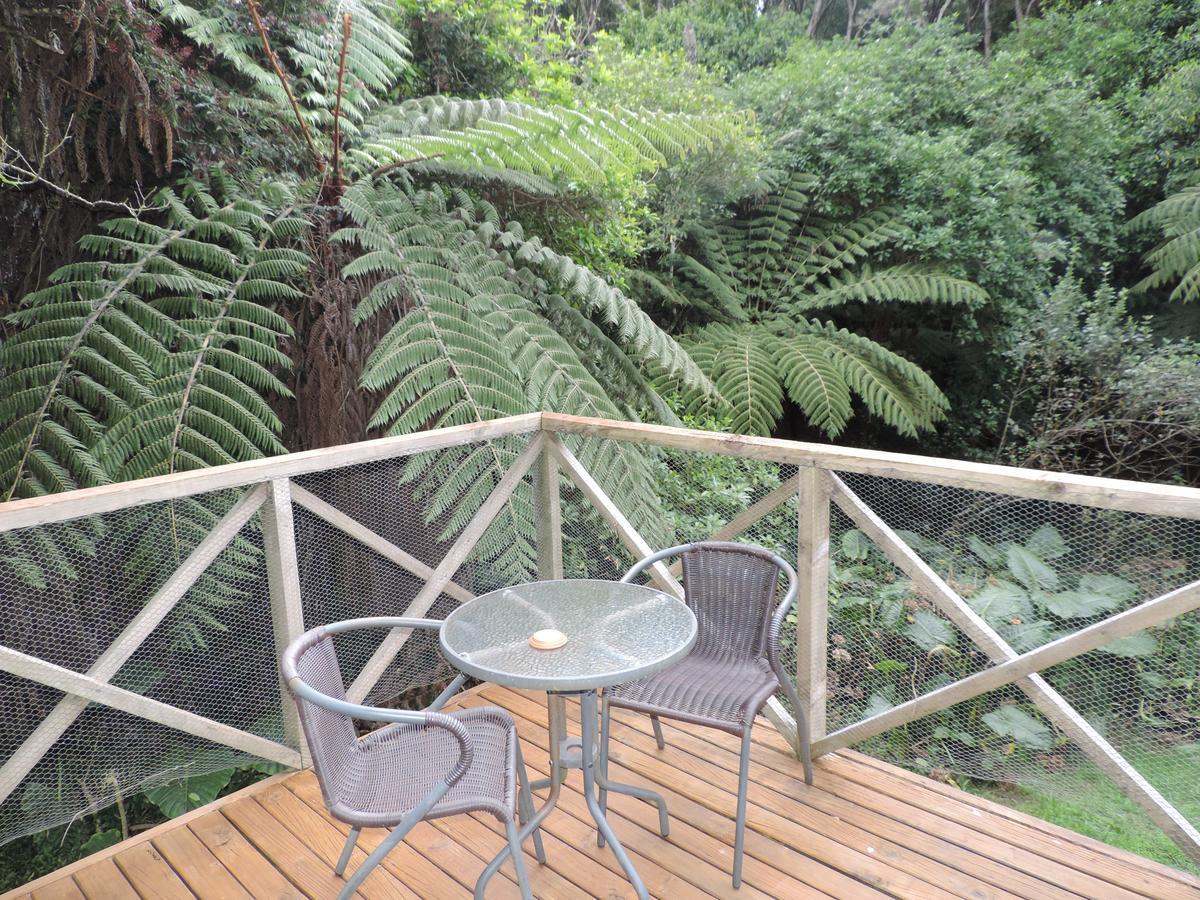 Waiheke Island Punga Lodge Oneroa Exterior foto